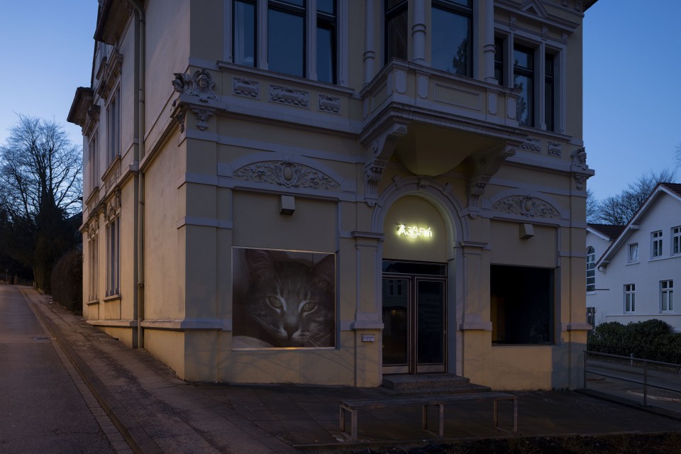 Bielefeld-Galerie-11