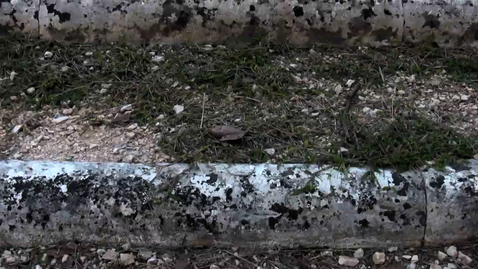 Sous les Jardins, Villa Torlonia 5, 2014