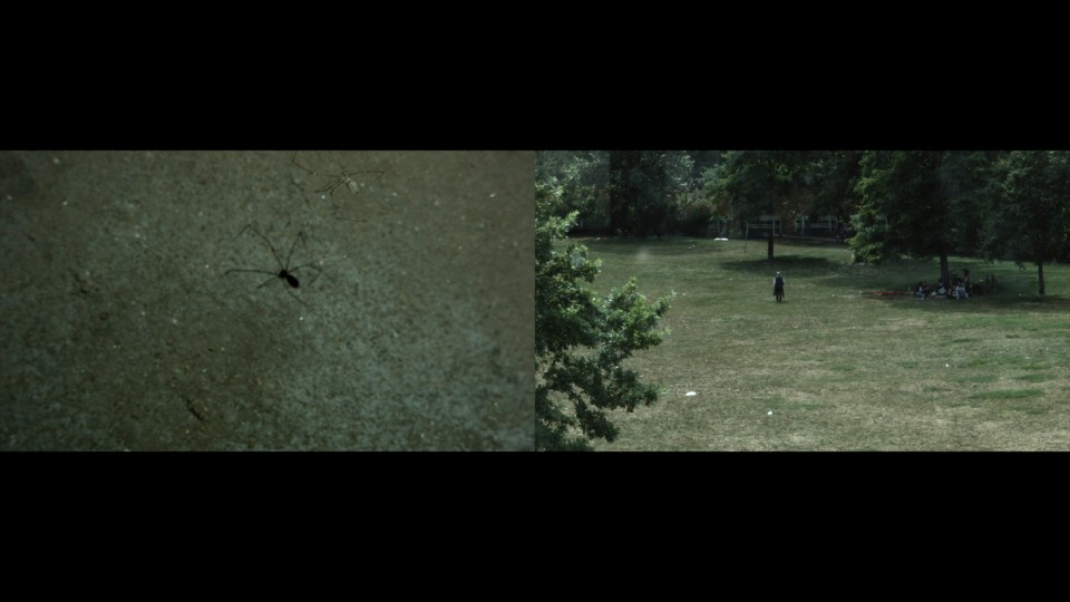 luke stills-7